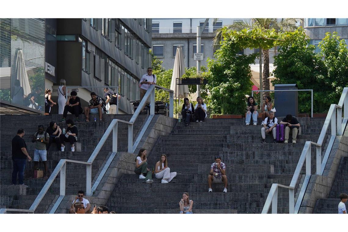 ... einen Schattenplatz, um sich etwas Abkühlung zu verschaffen.