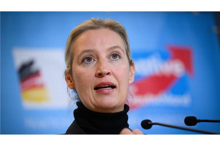 AfD-Chefin Alice Weidel