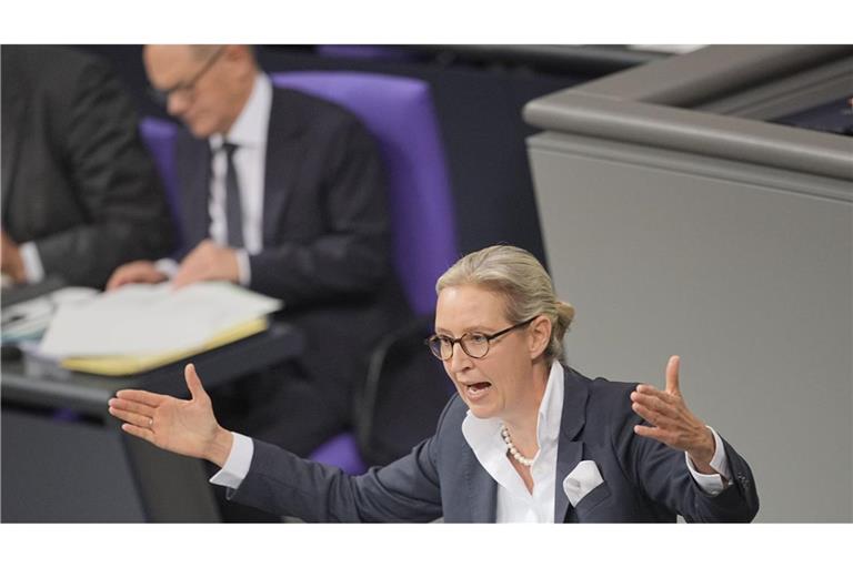 AfD-Chefin Weidel im Bundestag: Mit den Stimmen der AfD könnte Kanzler Scholz (Hintergrund) die Vertrauensfrage bestehen.