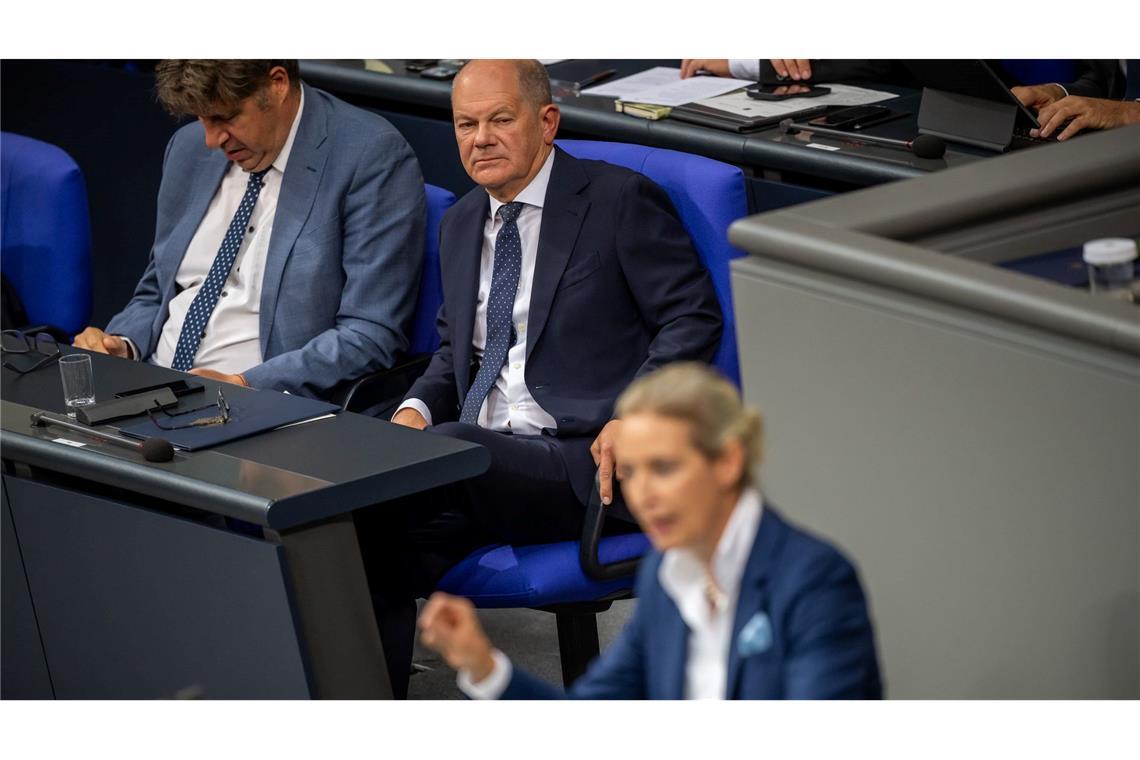 AfD-Co-Fraktionschefin Alice Weidel nannte Scholz einen "Kanzler des Niedergangs"