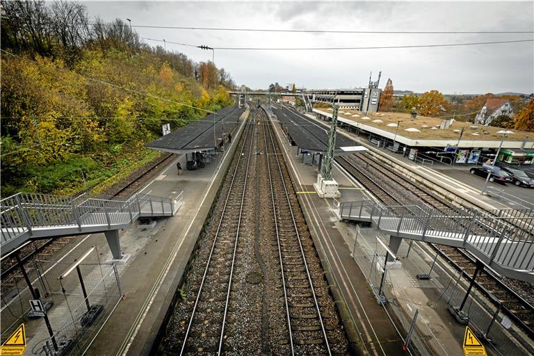 Am gestrigen Dienstag kam es Backnanger Bahnhof zu kuriosen Szenen. Archivfoto: Alexander Becher