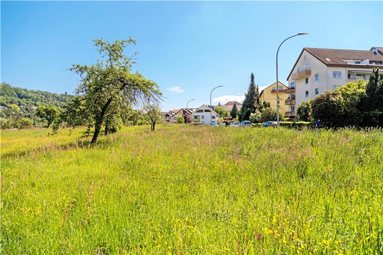 „Am Höllbächle“ sollen neue Wohnungen entstehen. Archivfoto: Stefan Bossow