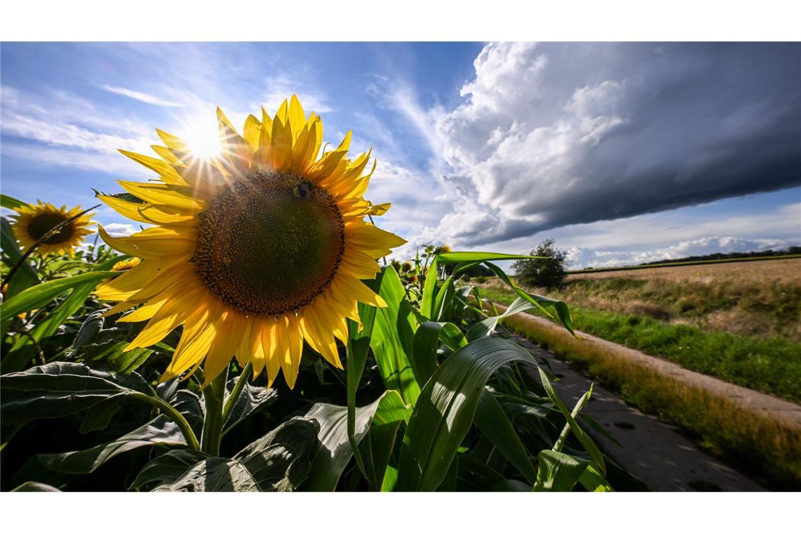 Am Wochenende drohen neue Unwetter: Regional sind zudem mehrstündiger Starkregen und Unwetter möglich. (Archivbild)