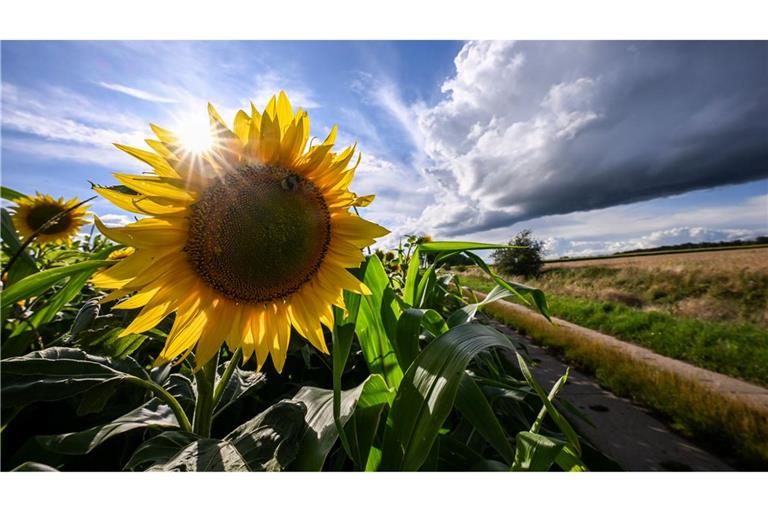 Am Wochenende drohen neue Unwetter: Regional sind zudem mehrstündiger Starkregen und Unwetter möglich. (Archivbild)