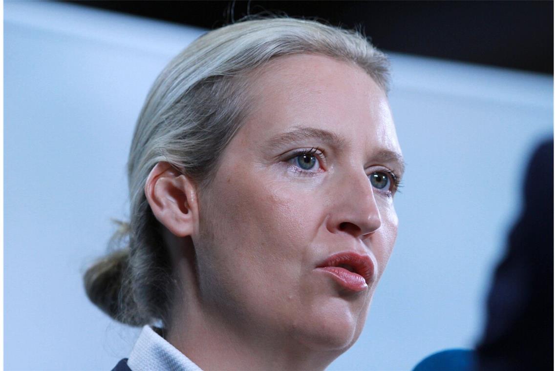 An Alice Weidel führt im Land kein Weg vorbei.