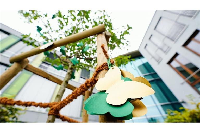 An der Schule in St. Leon-Rot wurde ein Baum in Gedenken an das Opfer gepflanzt.