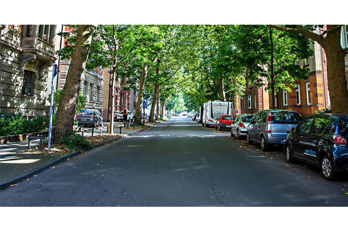 An dieser Straße in Bad Cannstatt sieht man, wie effektiv große Bäume ein Quartier verschatten können.