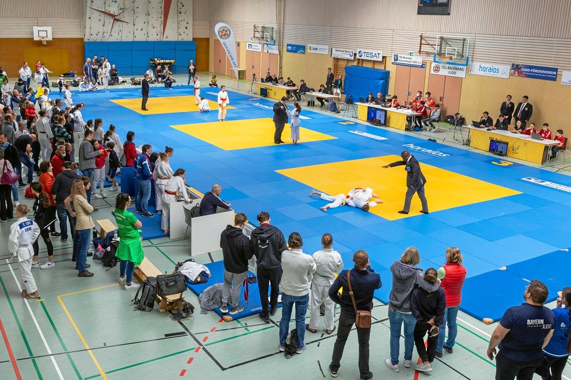 An zwei Tagen haben 250 Judokas der Altersklasse U15 auf drei Matten in der Backnanger Mörikehalle gekämpft. Foto: Alexander Becher