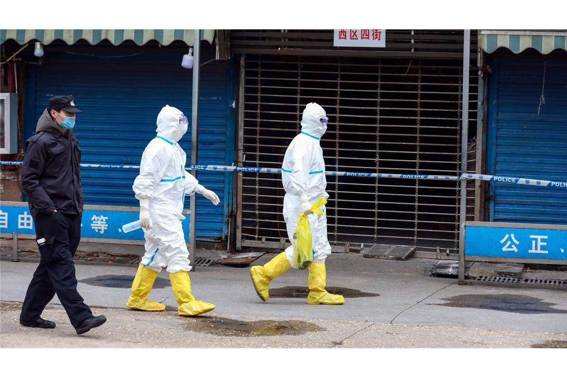 Arbeiter in Schutzkleidung tragen eine Tasche, in der sich ein Riesensalamander befindet, der vom Huanan Seafood Market entkommen sein soll. (Archivbild)