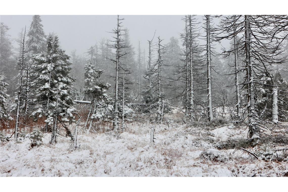 Auch auf dem Brocken hat es geschneit. (Foto Aktuell vom 17.11.)