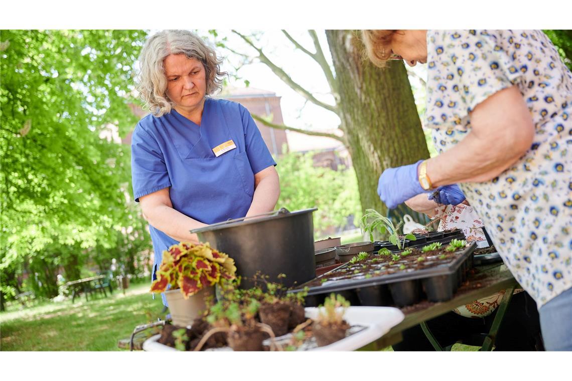 Auch Gartentherapie kann bei Demenz helfen. (Symbolbild)