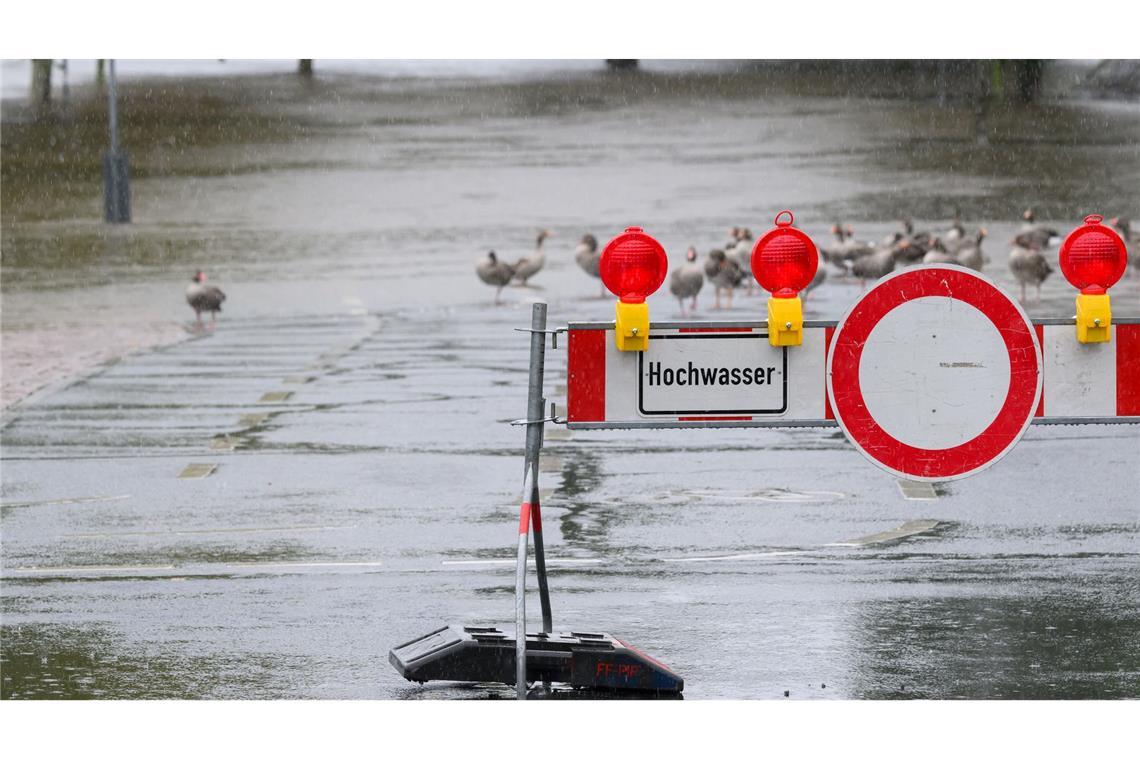 Auch in Teilen Sachsens steigen die Pegelstände - so auch in Schöna.