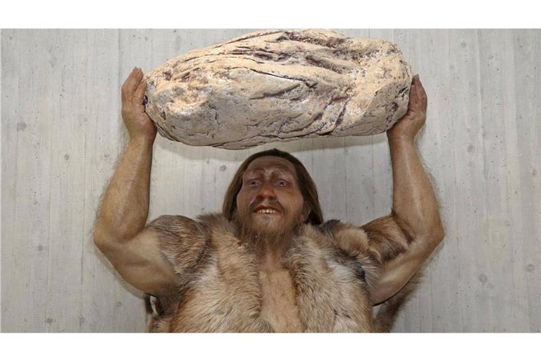 Führte Blei zum Aussterben des Neandertalers? Auch wenn er bärenstark war, ist der Neandertaler ausgestorben. Welche Rolle spielte dabei das giftige Schwermetall Blei?