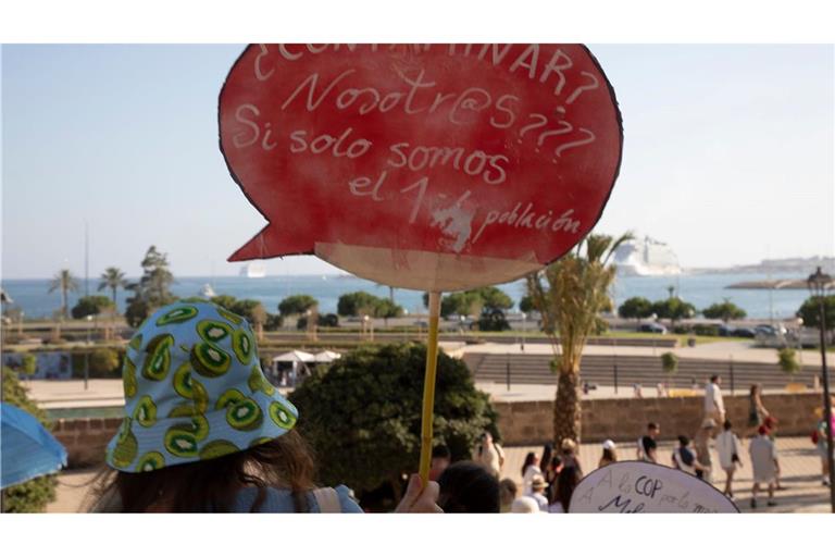 Auf Mallorce soll es neue Proteste gegen Massentourismus geben. In der deutschen Politik ist die Meinung geteilt. (Archivbild)