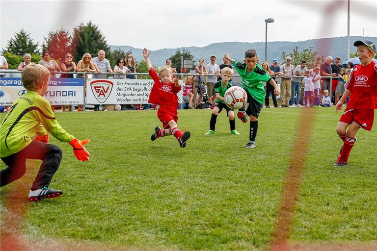 Auf Spiel, Spaß und kernige Torschüsse muss der Fußballnachwuchs nunmehr seit gut eineinhalb Jahren fast durchgängig verzichten. Nun soll es für die E- und F-Jugendteams der Region Anfang September wieder auf den Platz zurückgehen. Beim Neustart wollen unsere Zeitung und vier Partnervereine allen Klubs mit Vorbereitungsturnieren wichtige Hilfestellung geben. Foto: A. Becher