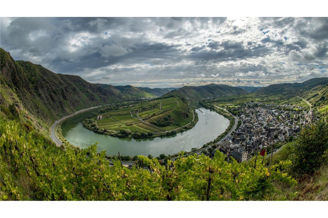 Bei der Entwicklung des Weinbaus muss nach Ansicht von Experten auch der Tourismus bedacht werden. (Archivbild)