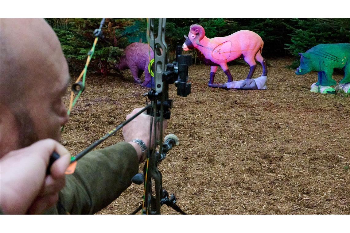 Bei der Publikumsmesse "Jagd und Hund" wird die Jagd mit dem Bogen gezeigt. Das Ziel ist dabei, anders als in der Natur, rosa eingefärbt.