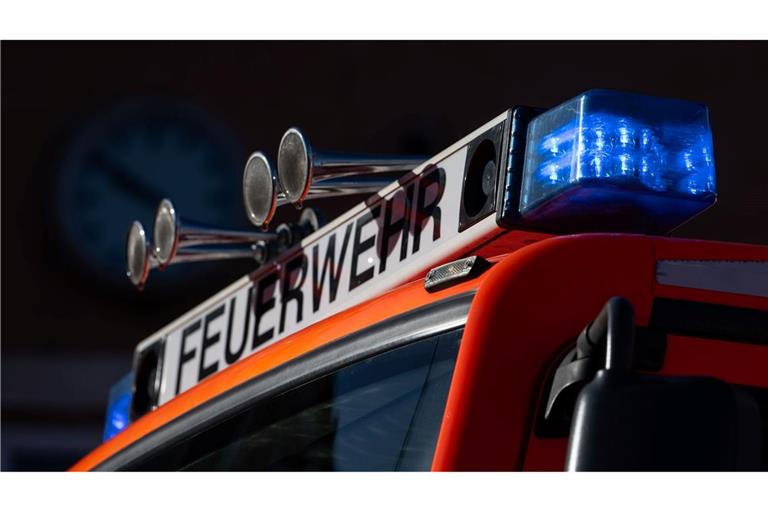 Bei einem Brand im Kinderzimmer findet die Feuerwehr Mutter und Kinder nur noch leblos vor. (Symbolfoto)