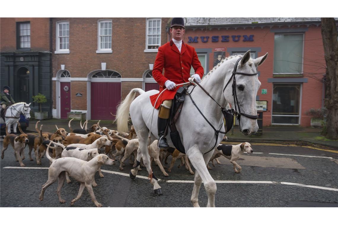 Bei einer traditionellen Boxing Day Hunt reiten die Jäger mit der Hundemeute durch Leominster.