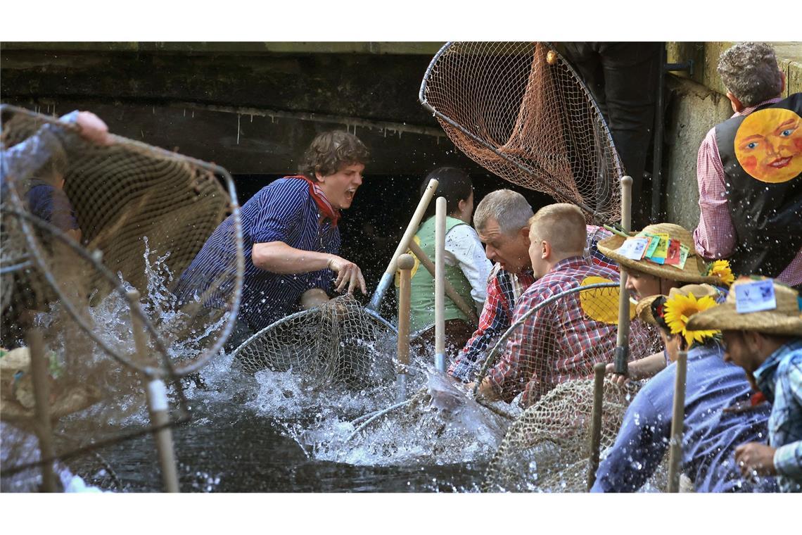 Beim Fischertag in Memmingen jagen alle nur nach der dicksten Forelle.