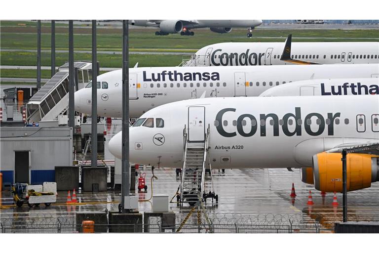 Bislang werden viele Condor-Passagiere von der Lufthansa nach Frankfurt geflogen.