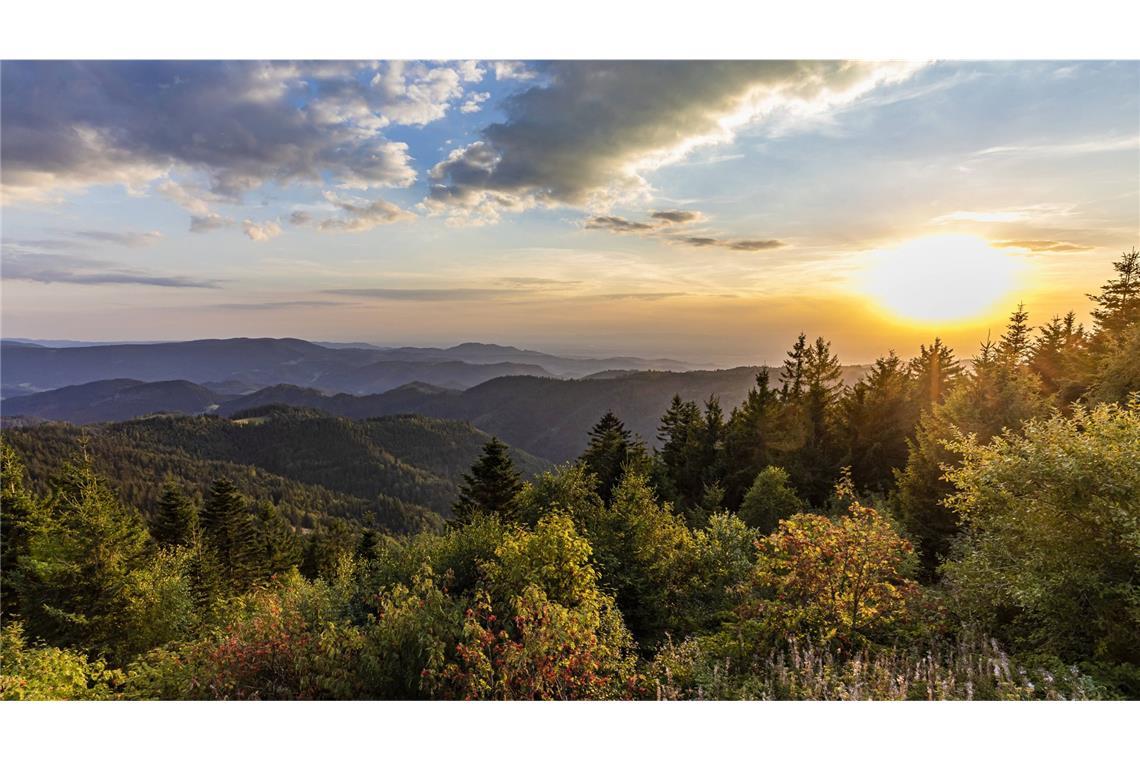 Blick auf den Nationalpark Schwarzwald (Archivbild)