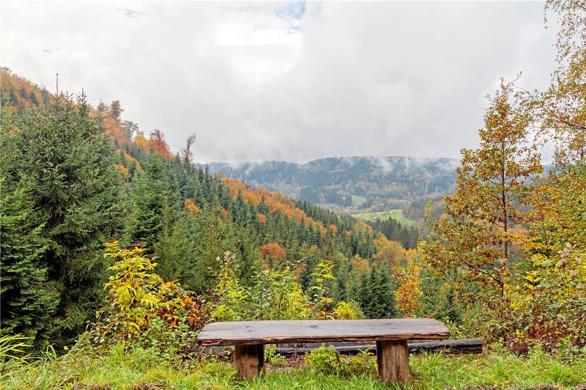 Blick auf einen Teil der durchforsteten Fläche im Gewann Fuchsloch (links) bei Siegelsberg. Foto: Stefan Bossow