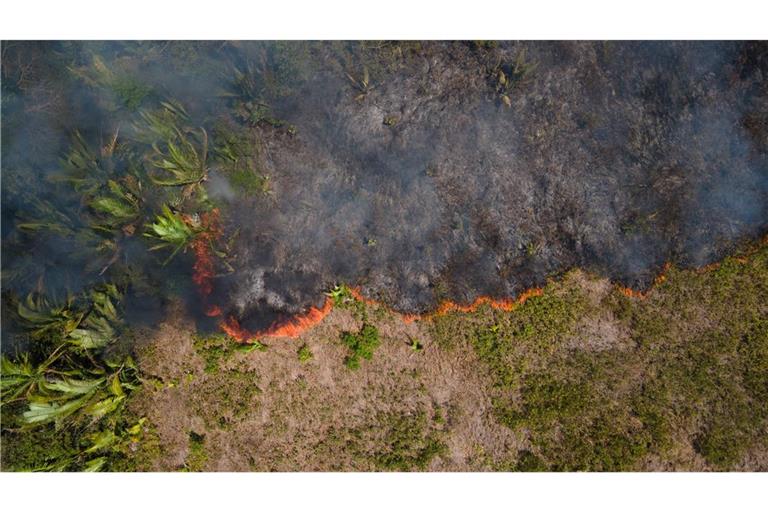 Waldzerstörung schreitet immer schneller voran Brasilien, Porto Velho: Flammen breiten sich in einem Amazonas-Gebiet aus.