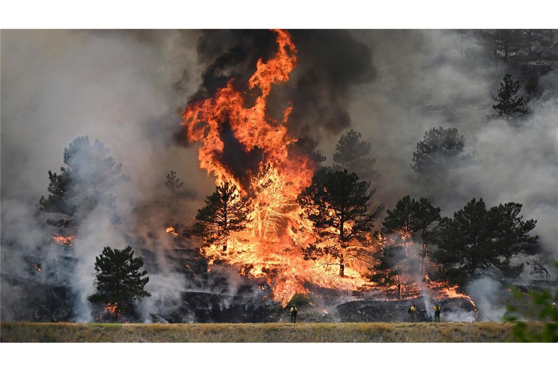 Das Alexander Mountain Fire brennt sich weiter durch Colorado.