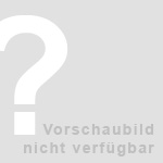 Das erste Werk der 1890 gegründeten Daimler-Motoren-Gesellschaft auf dem  Cannstatter Seelberg wird  1903 durch einen Großbrand komplett zerstört.