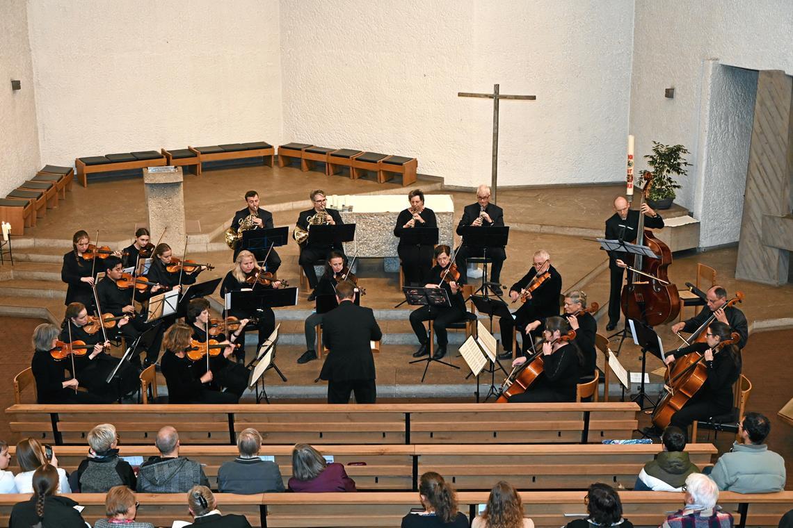 Das Kammerorchester hat für das Konzert Klassikjuwelen von Wolfgang Amadeus Mozart und Joseph Haydn einstudiert. Foto: Elisabeth Klaper