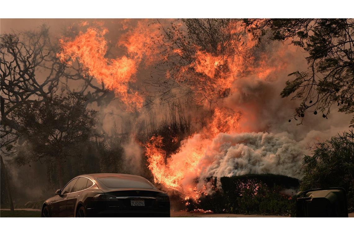 Das "Palisades Fire" wütet inmitten starker Winde.