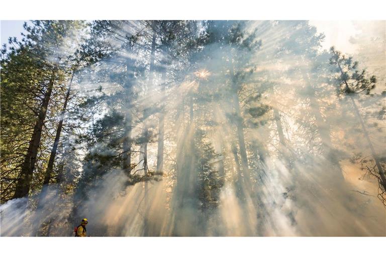 Das Park Fire hat sich zum sechstgrößten Waldbrand in der Geschichte Kaliforniens ausgewachsen.