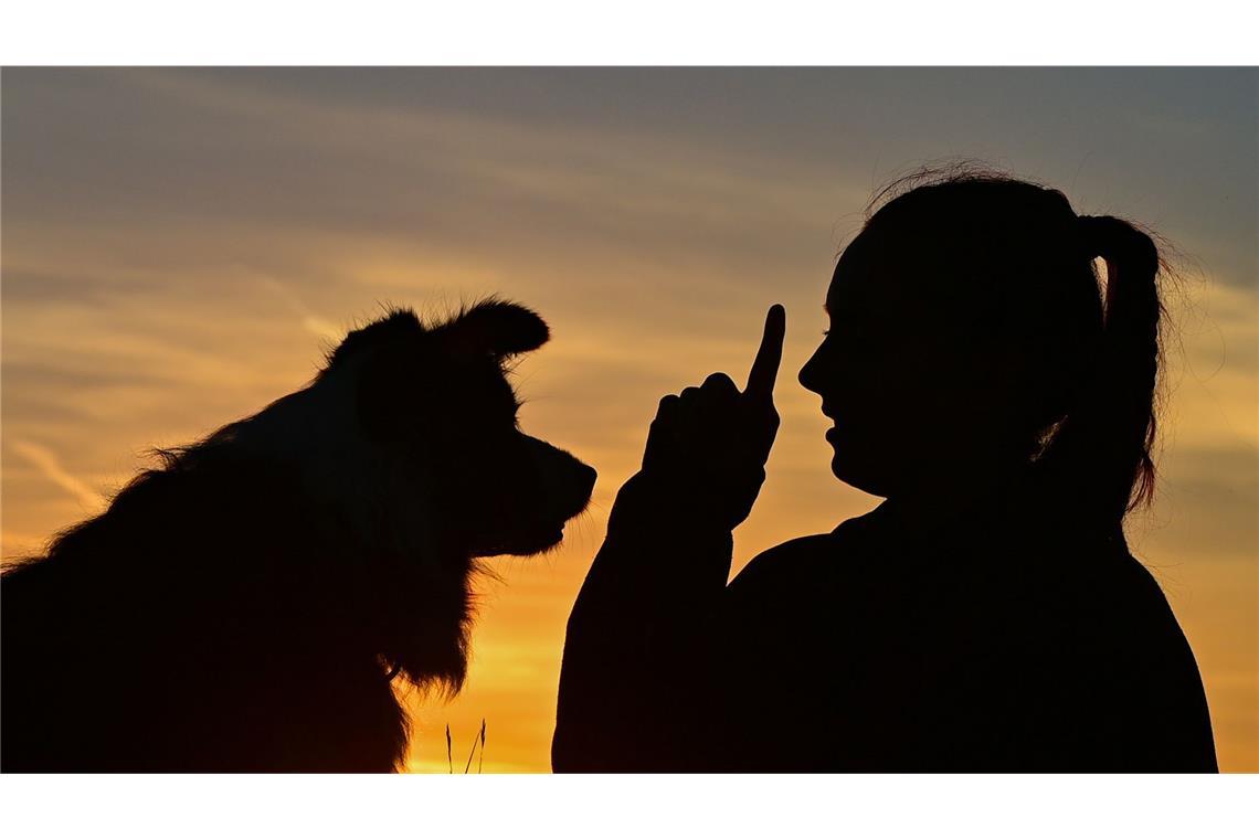 Das Verlangsamen des Sprechens kann  dem Menschen helfen, eine bessere Verbindung zu seinem Hund  aufzubauen.