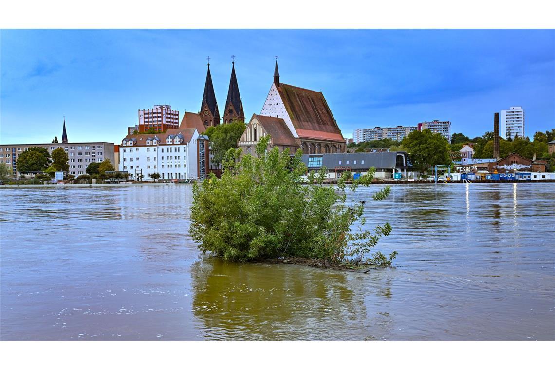 Das Wasser der Oder steht noch sehr hoch in Frankfurt.