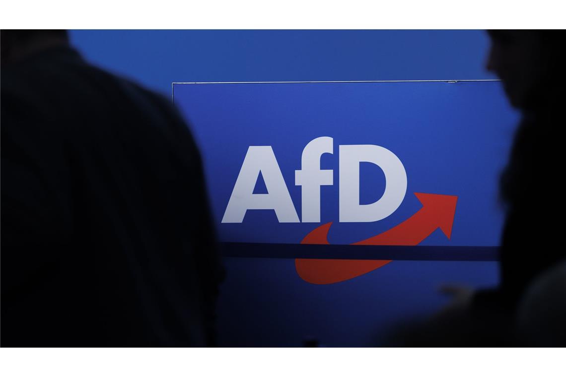 Delegierte gehen vor dem Parteilogo bei dem AfD-Bundesparteitag in Magdeburg (Archivbild).