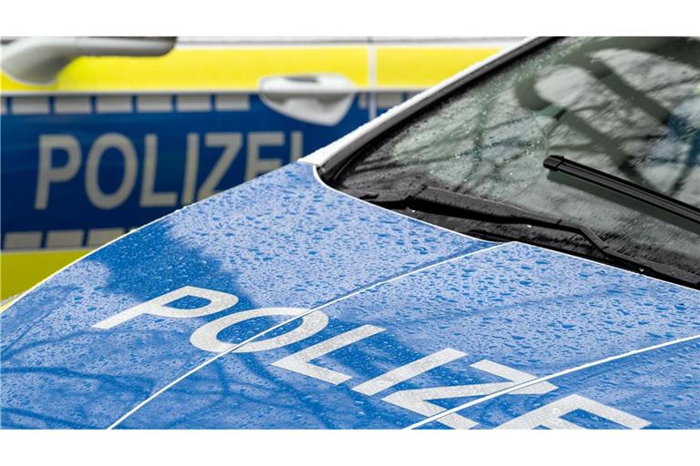 Der Autodieb verletzte sich auf seiner Flucht vor der Polizei schwer. (Symbolbild)