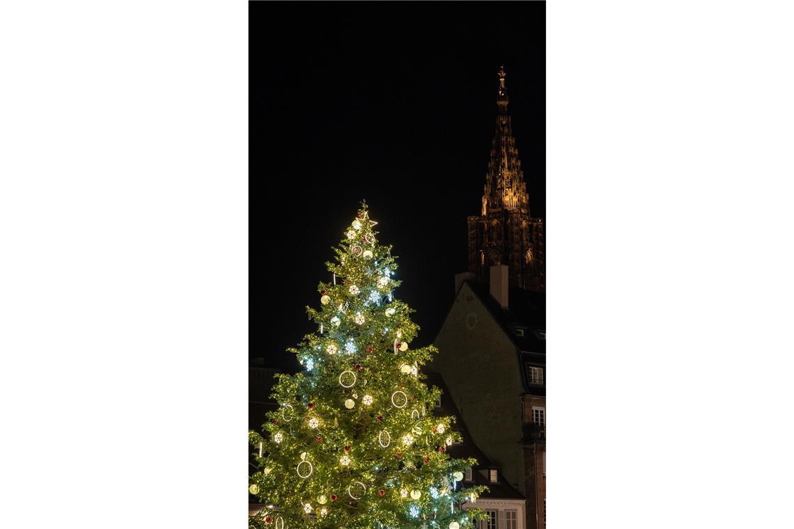 Der Baum ist mit  30 Metern Höhe der wohl größte geschmückte Weihnachtsbaum Europas.