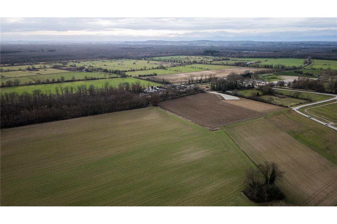 Der Dietenbach-Wald soll bald einem Neubaugebiet weichen.