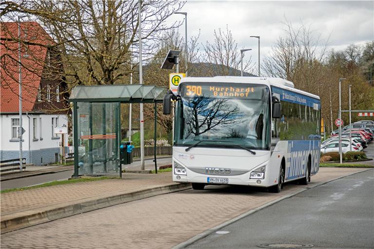 Der Frühbus der Linie 390 soll zurückkommen, lautet eine der Forderungen. Archivfoto: Stefan Bossow