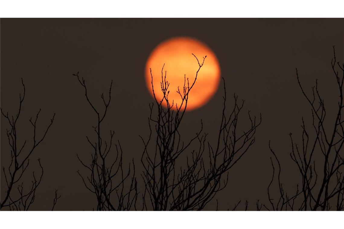 Der gesamte Himmel ist bei den Bränden in Rauch gehüllt.