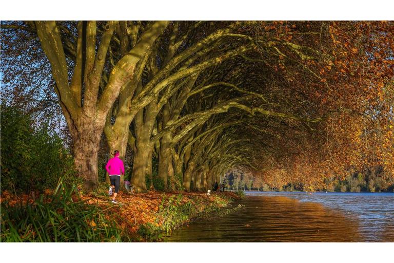 Der Herbst ist einer der schönsten Jahreszeiten, um lange Spaziergänge zu machen – oder joggen zu gehen.