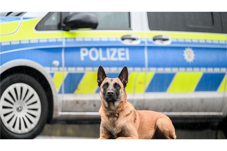 Der Polizeihund wurde nach einem Biss gewürgt. (Symbolbild)