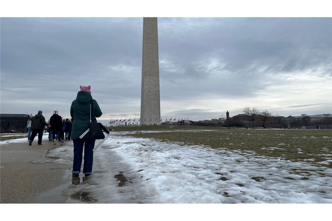 Der Protest vor Trumps Amtseinführung in Washington im Januar fiel eher mager aus. (Archivbild)