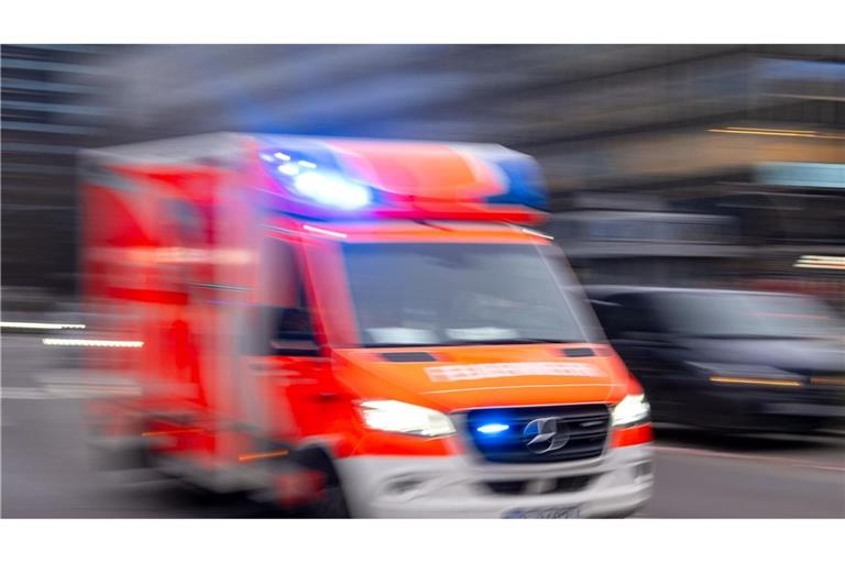 Der Rettungsdienst reanimierte den Pedelec-Fahrer in Metzingen. (Symbolfoto)