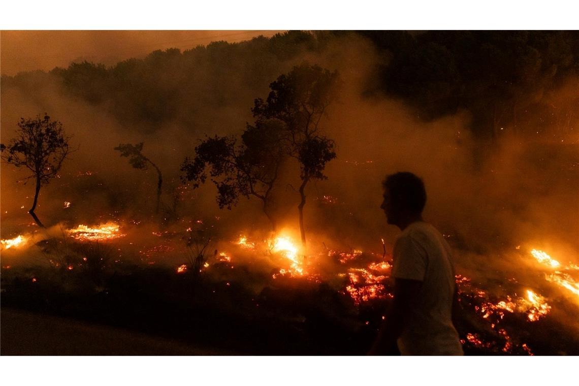 Der Waldbrand in der Nähe der griechischen Stadt Alexandroupolis im Jahr 2023 war der größte bisher registrierte Brand in Europa. (Archivbild)