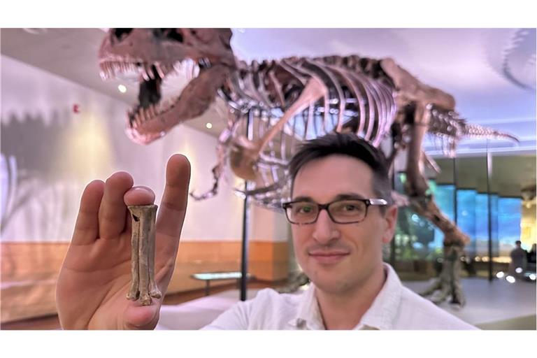 Der Wissenschaftler Alex Clark mit dem fossilen Fußknochen von Avisaurus darwini. Im Hintergrund ist das Skelett des T. rex Sue zu sehen, aus der gleichen Fundstätte wie der Fußknochen.