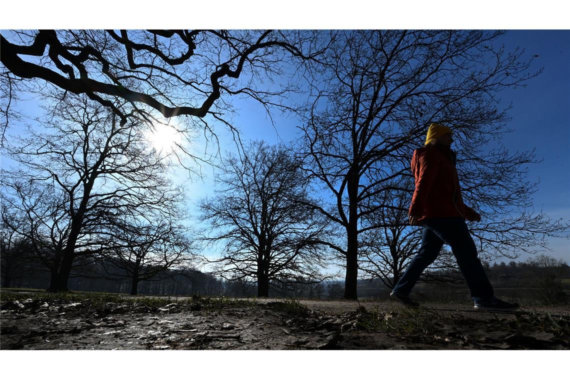 Der zu Ende gehende Winter war laut Deutschem Wetterdienst mild und trocken. (Archivbild)