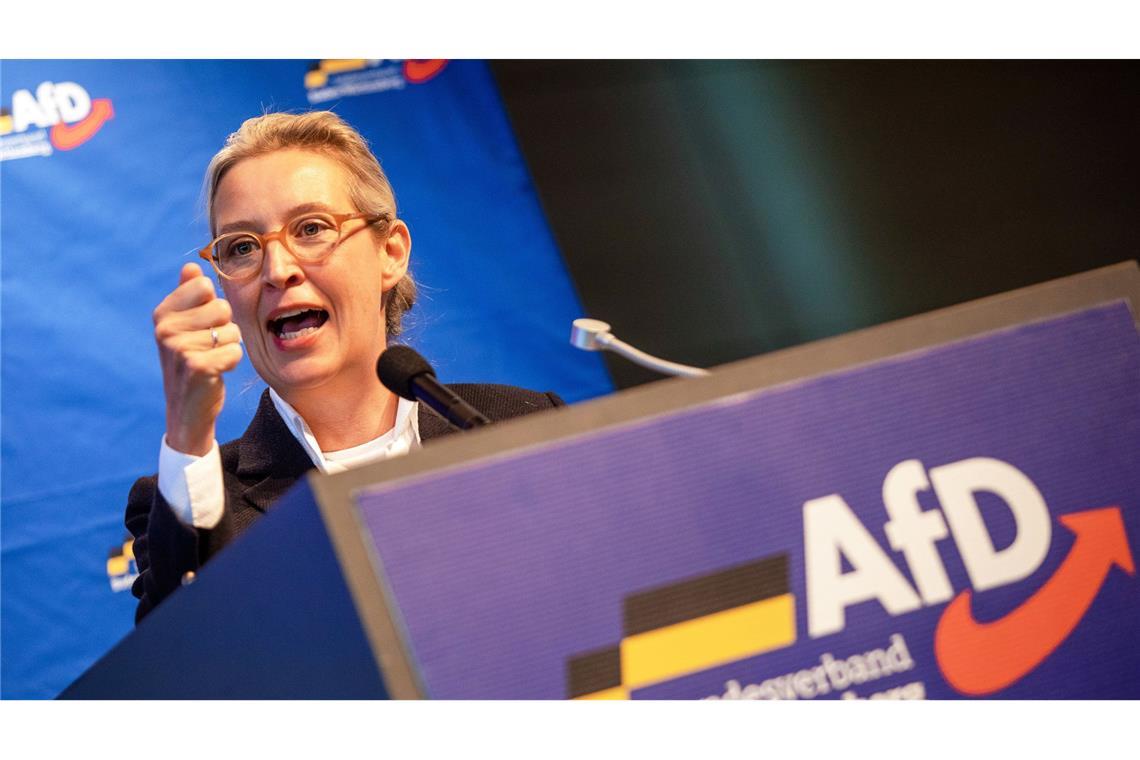 Die AfD blickt laut AfD-Chefin Alice Weidel gelassen auf die Initiative. (Archivbild)