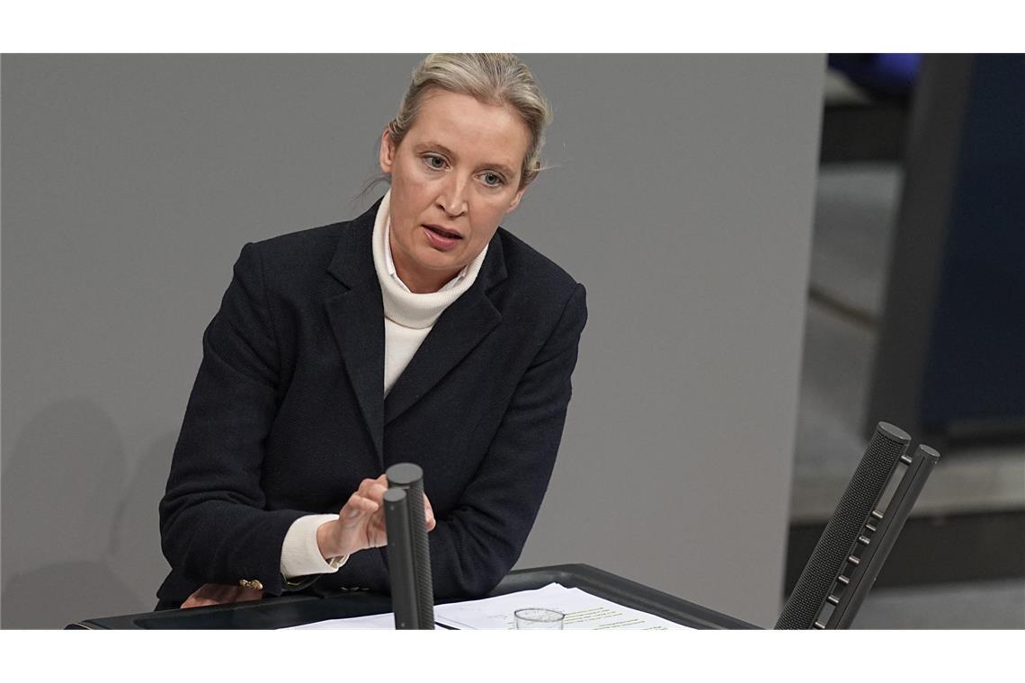 Die AfD-Vorsitzende, Alice Weidel, attackierte in der Debatte auch Unionsfraktionschef Friedrich Merz (CDU).